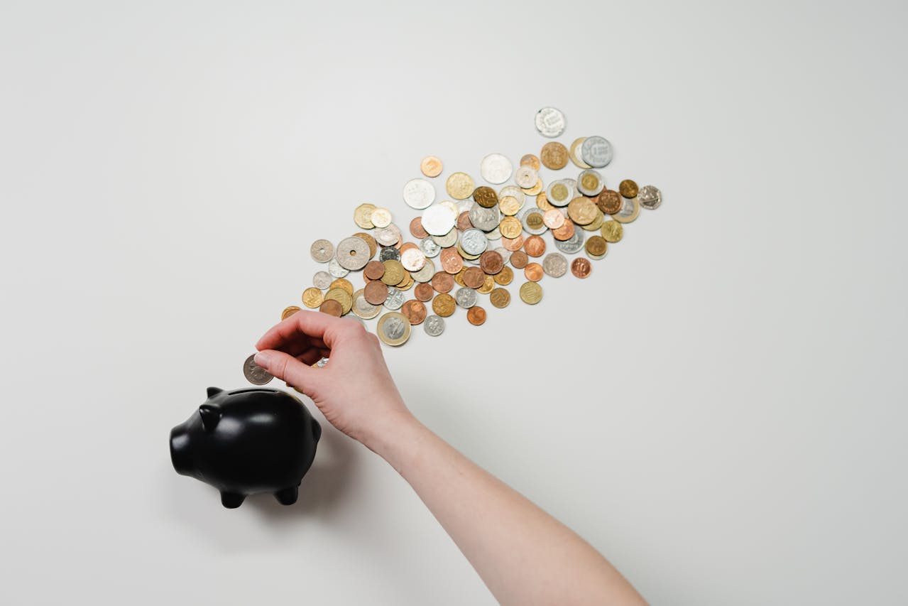 coins-lining-up-to-a-black-piggy-bank